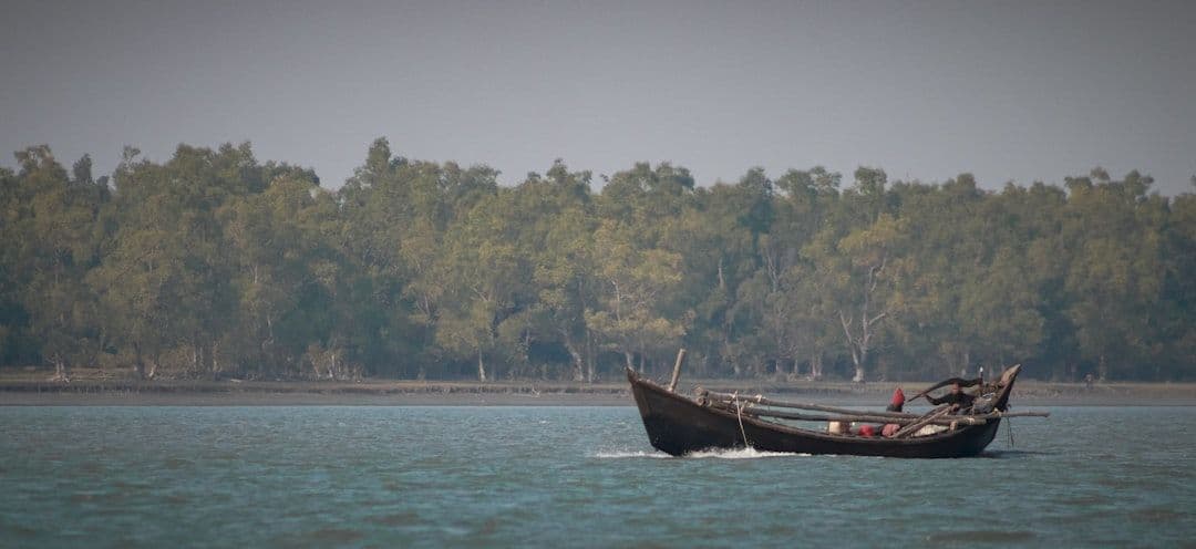 Bangladesh chống chọi với đợt bùng phát sởi chết người nghiêm trọng nhất thập kỷ